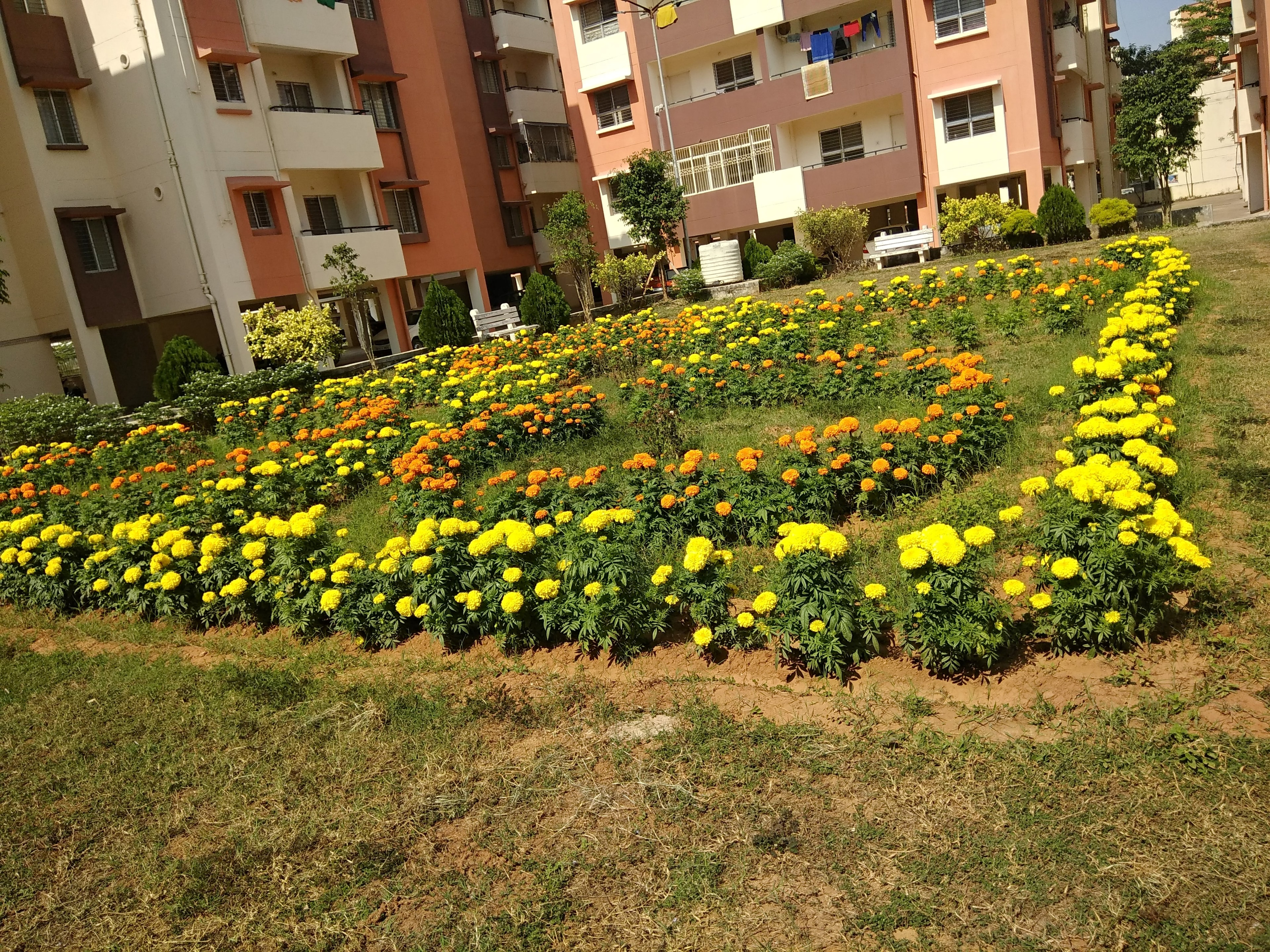 Landscaped Gardens